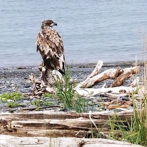 Meet your Posher, Abbie